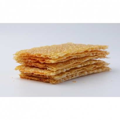 Studio Session-170-Edit.jpg